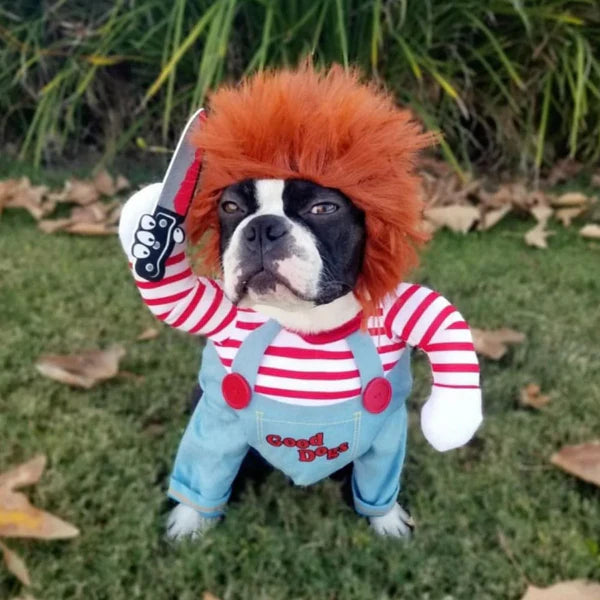 Halloween Dog Costume!๐ถ (Chucky)