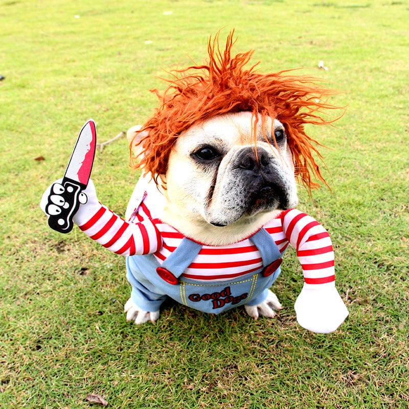 Halloween Dog Costume!๐ถ (Chucky)