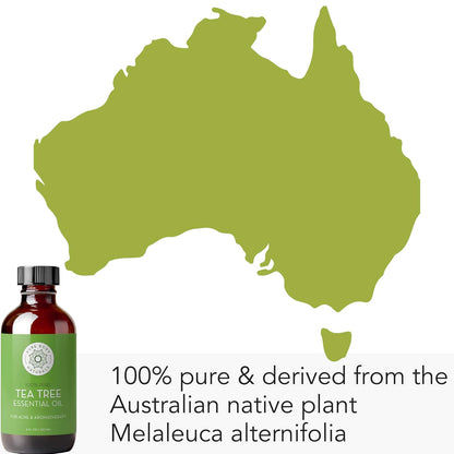 Tea Tree Essential Oil, 4 Fl Oz with Dropper - Undiluted Therapeutic Grade for Your Face, Skin, Hair and Diffuser - 100% Pure Melaleuca Oil for Acne, Toenails - by