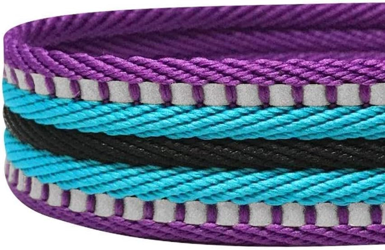 Reflective Dog Leash for Active Adventures, Puppy Essentials, Durable Leashes Heavy Duty, Gentle Leader for Dogs, Small Sizes, Violet & Celeste