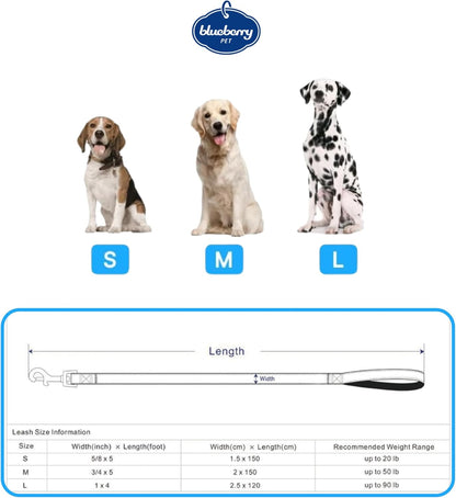 Reflective Dog Leash for Active Adventures, Puppy Essentials, Durable Leashes Heavy Duty, Gentle Leader for Dogs, Small Sizes, Violet & Celeste