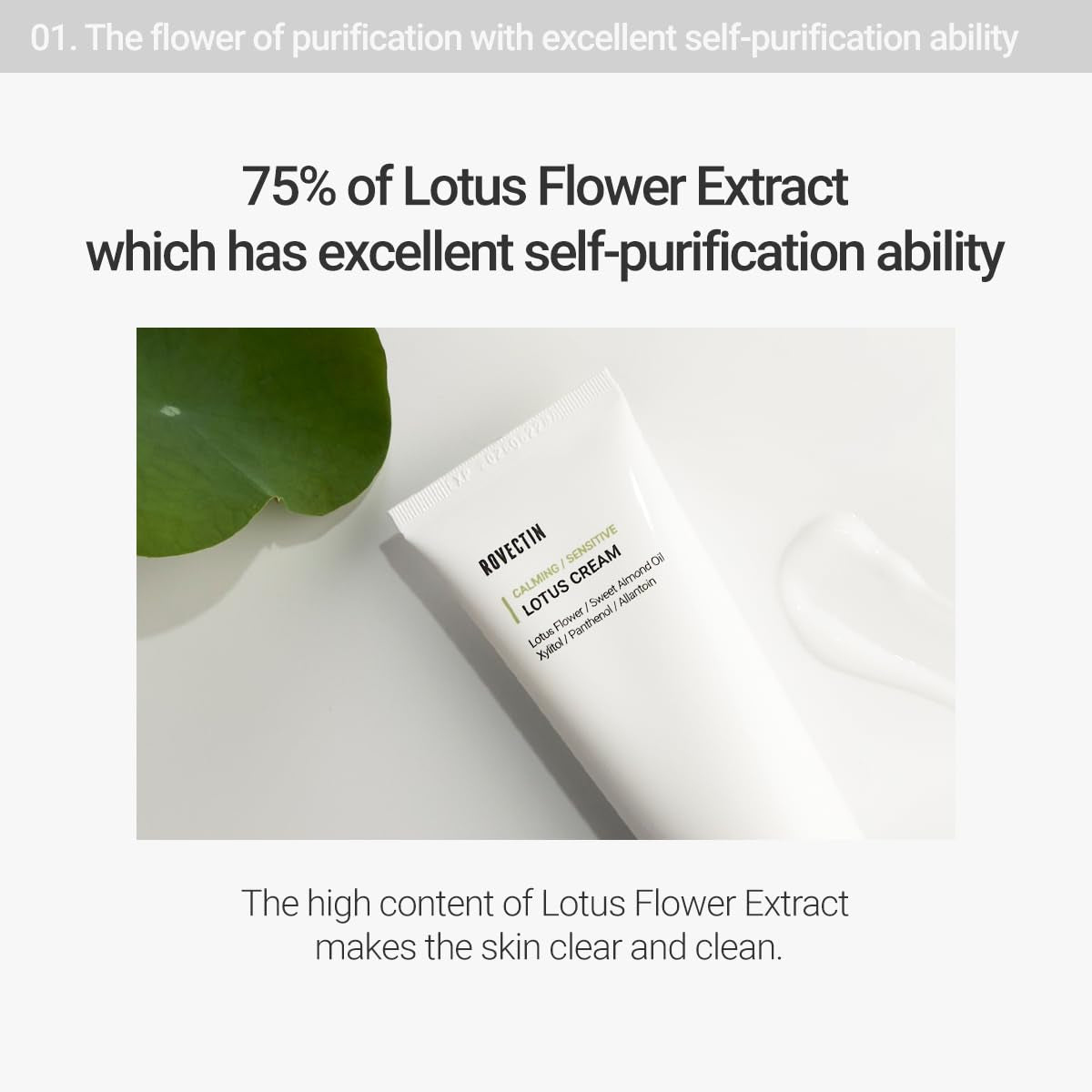 Calming Lotus Water Cream - Lightweight Moisturizer Face Cream for Oily, Combination Skin | 75% Lotus Water Extract for Skin Purifying, Anti-Aging | Vegan Korean Skincare (2.03 Fl Oz, 60Ml)