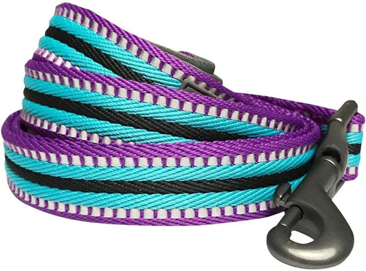Reflective Dog Leash for Active Adventures, Puppy Essentials, Durable Leashes Heavy Duty, Gentle Leader for Dogs, Small Sizes, Violet & Celeste