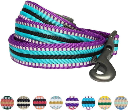 Reflective Dog Leash for Active Adventures, Puppy Essentials, Durable Leashes Heavy Duty, Gentle Leader for Dogs, Small Sizes, Violet & Celeste