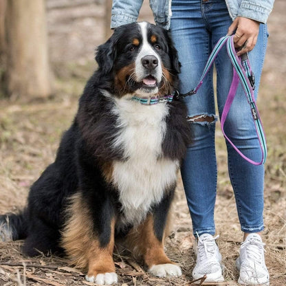 Reflective Dog Leash for Active Adventures, Puppy Essentials, Durable Leashes Heavy Duty, Gentle Leader for Dogs, Small Sizes, Violet & Celeste