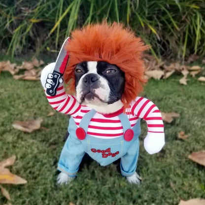 Halloween Dog Costume!🐶 (Chucky)