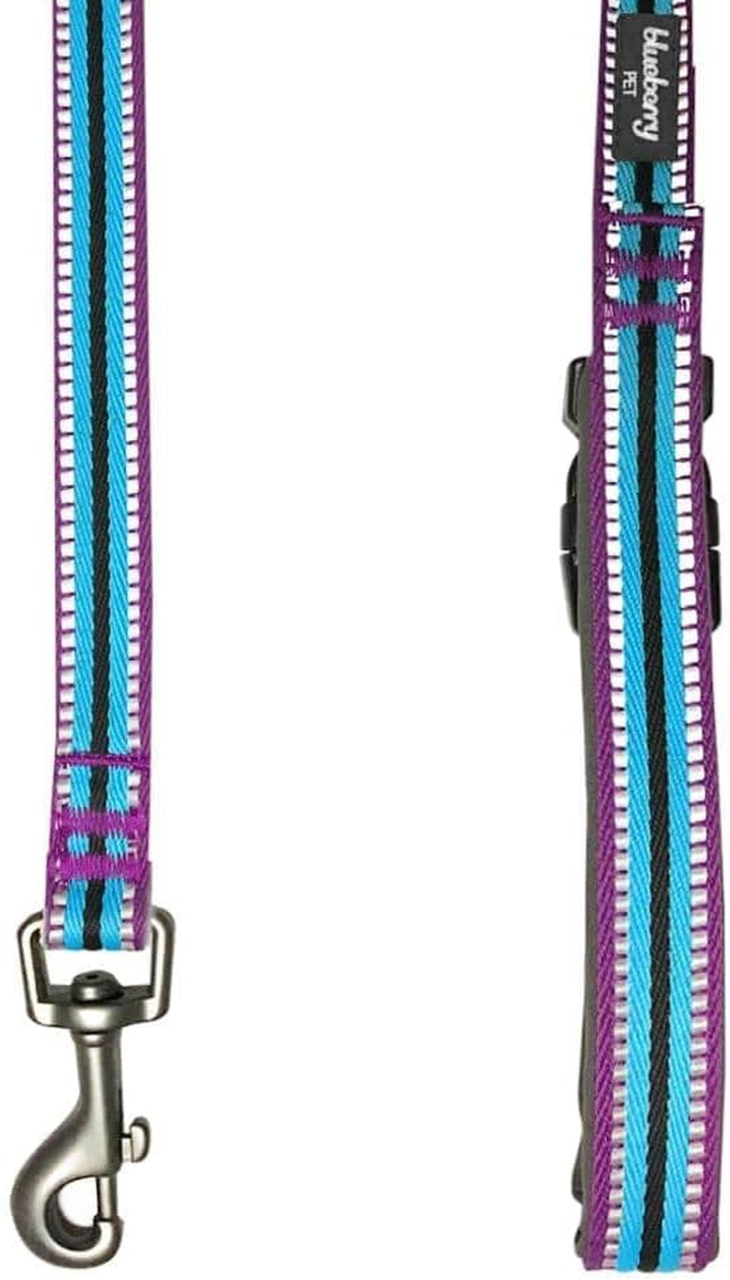 Reflective Dog Leash for Active Adventures, Puppy Essentials, Durable Leashes Heavy Duty, Gentle Leader for Dogs, Small Sizes, Violet & Celeste